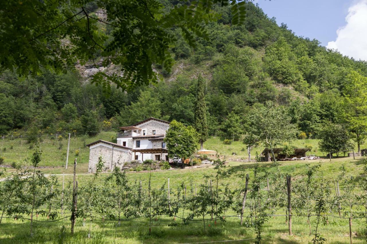 Agriturismo Di La Dall'Acqua Fivizzano Exterior photo